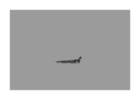 0445110230 - Injector (CRI2.1(1600BAR) - Image 2