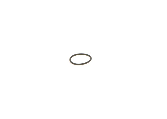 1928300277 - Seal ring
