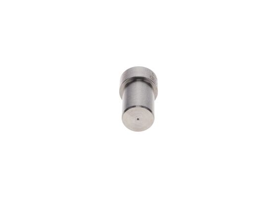 0434250014 - Pintle nozzle (DN4SD24) - Image 4