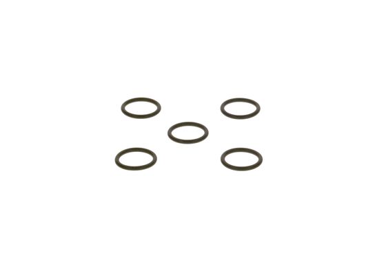 2440210019 - O-ring