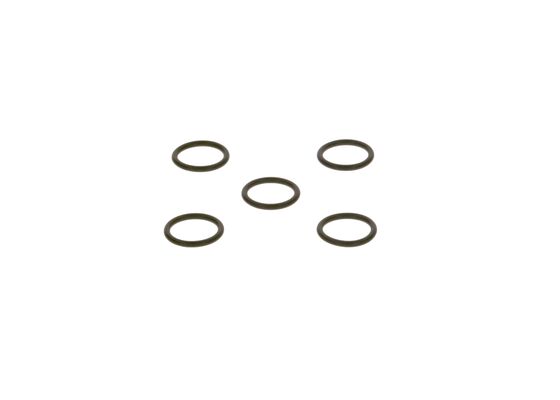 2440210019 - O-ring - Image 4