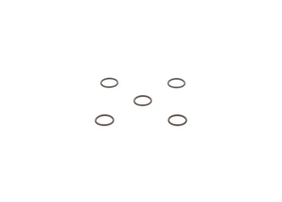 2440210020 - O-ring