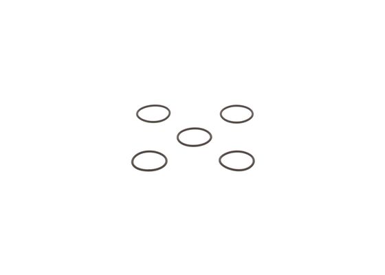 2440210026 - O-ring