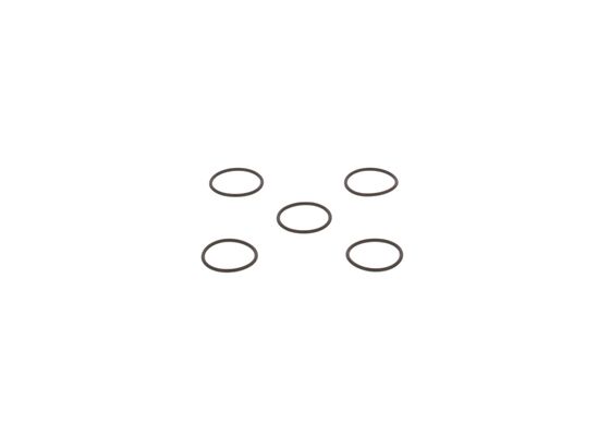 2440210026 - O-ring - Image 4