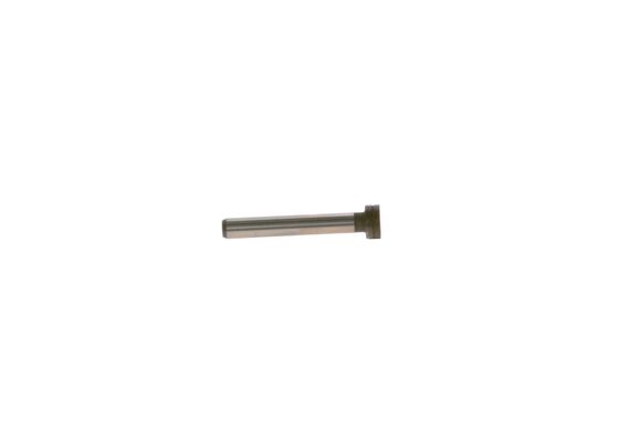 2443120022 - Sliding tappet