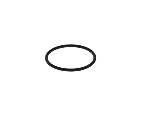 2700210061 - O-ring