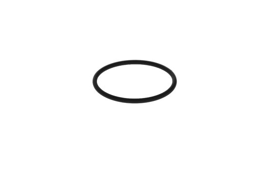 2700210061 - O-ring - Image 2
