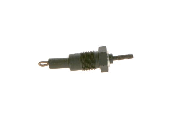 0250001016 - Glow plug - Image 2