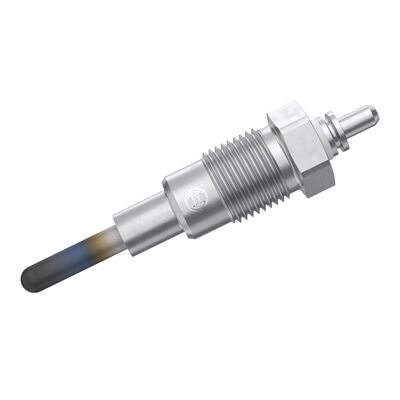 0250200055 - Glow plug