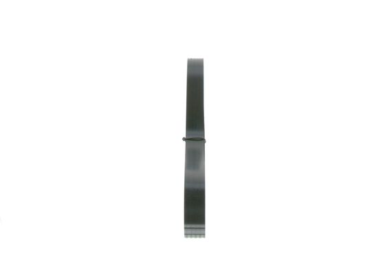 1987945503 - Ribbed v-belt - Image 2