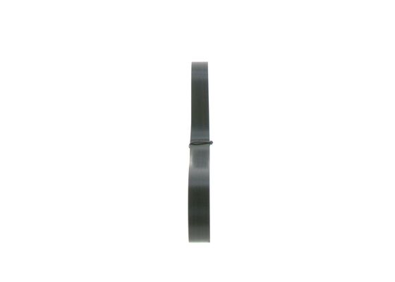 1987945503 - Ribbed v-belt - Image 4