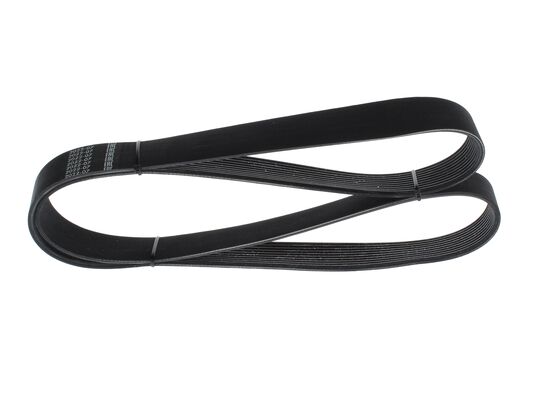 1987945511 - Ribbed v-belt