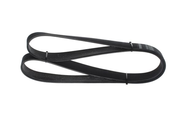 1987945511 - Ribbed v-belt - Image 3