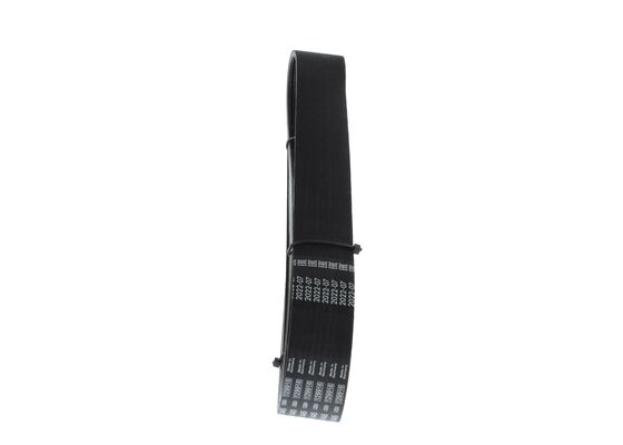 1987945511 - Ribbed v-belt - Image 4