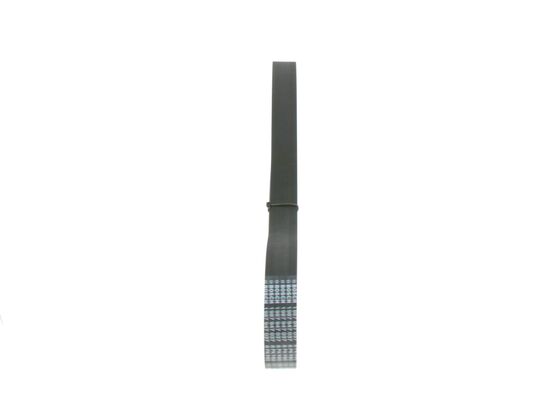 1987947037 - Ribbed v-belt - Image 2