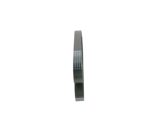 1987947054 - Ribbed v-belt - Image 2