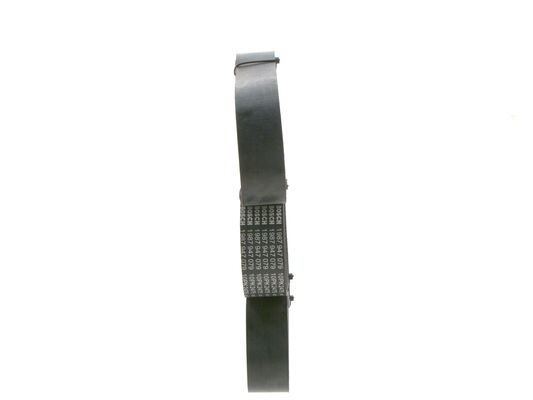 1987947079 - Ribbed v-belt - Image 2
