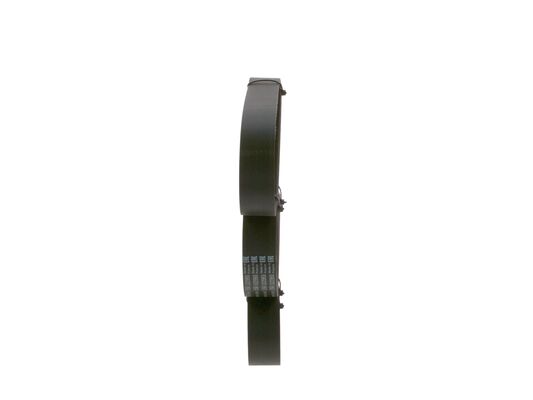 1987947377 - Ribbed v-belt - Image 2