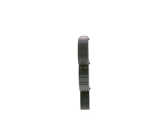 1987947387 - Ribbed v-belt - Image 2