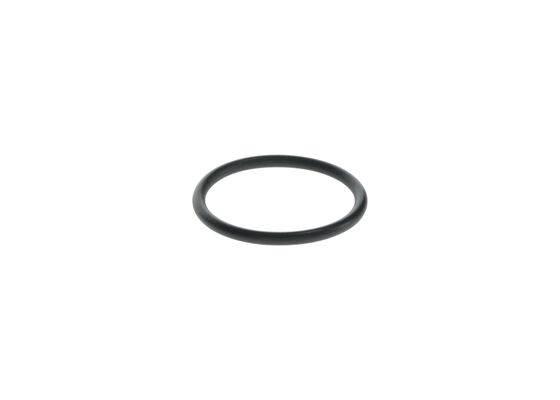 F00BJ60513 - O-ring