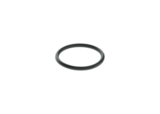 F00BJ60513 - O-ring - Image 2
