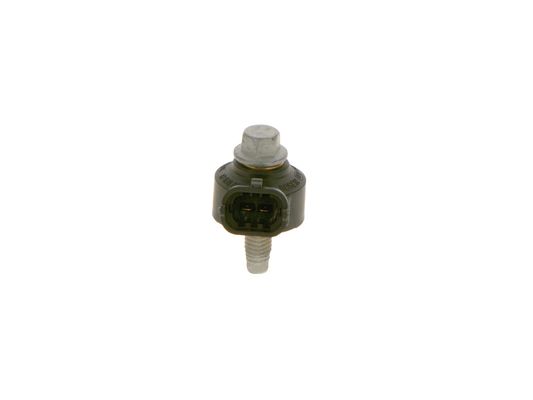 0261231174 - Knock sensor