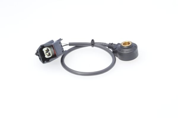 0261231185 - Knock sensor