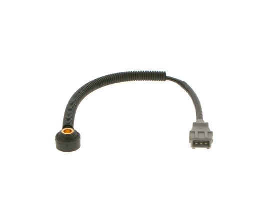 0261231230 - Knock sensor