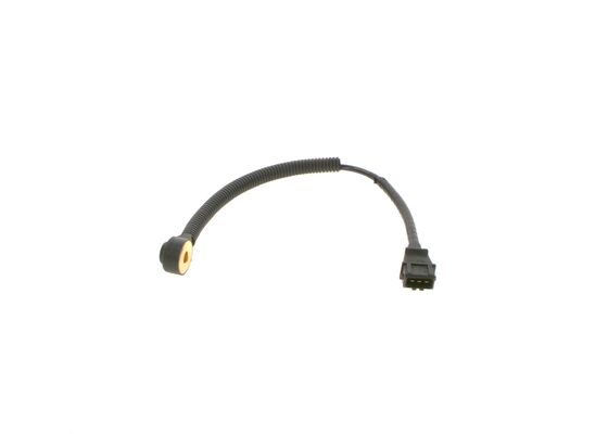 0261231232 - Knock sensor