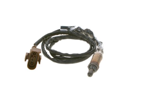 0258005160 - Oxygen sensor