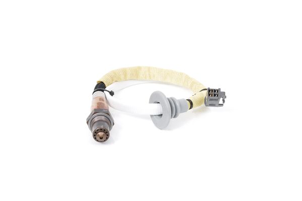 0258006696 - Oxygen sensor