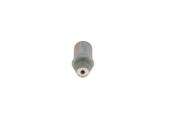 1110010032 - Pressure limiting valve