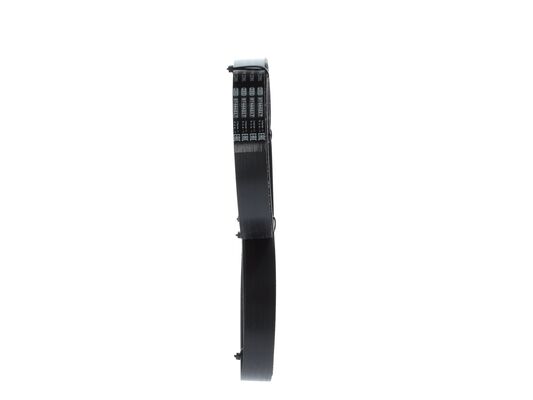 1987945700 - Ribbed v-belt - Image 4