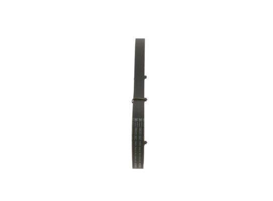1987945734 - Ribbed v-belt - Image 4