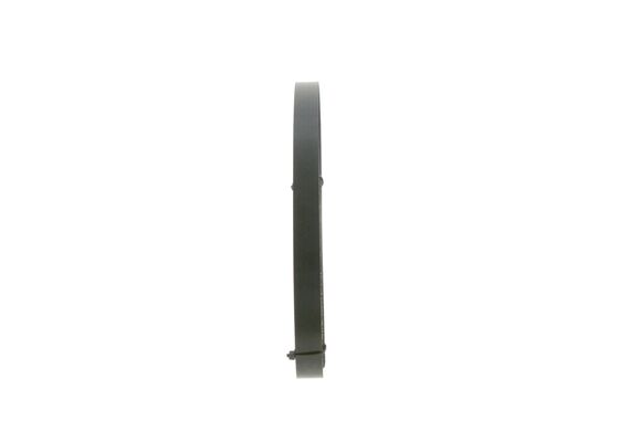 1987945743 - Ribbed v-belt - Image 4
