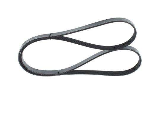 1987946029 - Ribbed v-belt