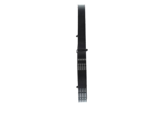 1987946029 - Ribbed v-belt - Image 4