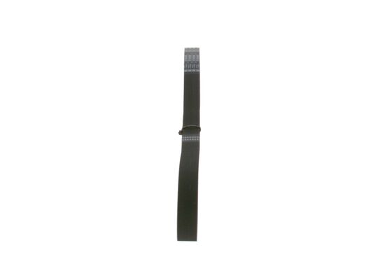 1987946036 - Ribbed v-belt - Image 2