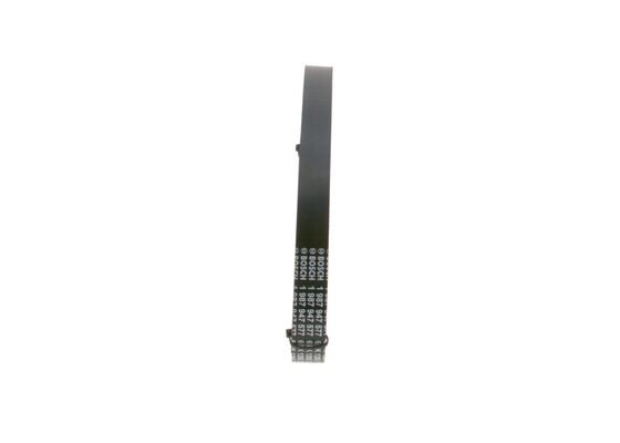 1987947577 - Ribbed v-belt - Image 4
