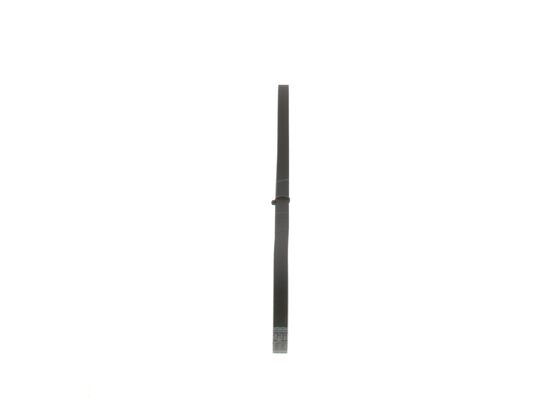 1987947808 - Ribbed v-belt - Image 2