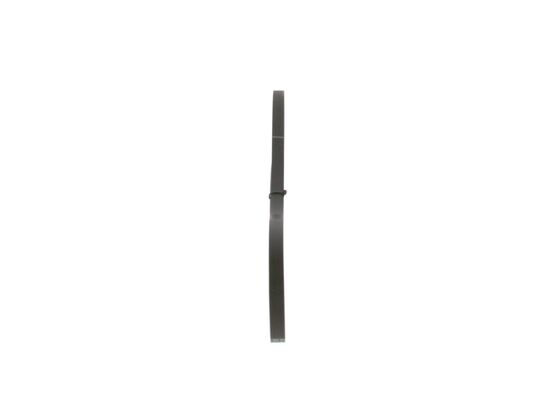 1987947826 - Ribbed v-belt - Image 2