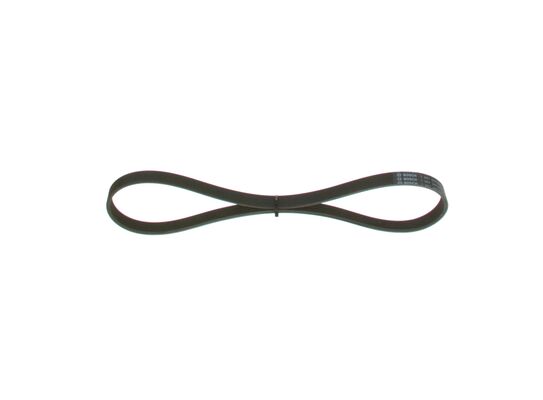1987947829 - Ribbed v-belt