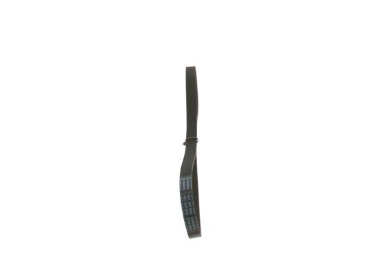 1987947829 - Ribbed v-belt - Image 2