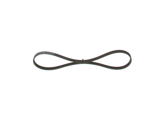 1987947895 - Ribbed v-belt