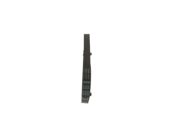 1987947927 - Ribbed v-belt - Image 4