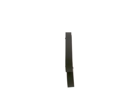 1987947972 - Ribbed v-belt - Image 2
