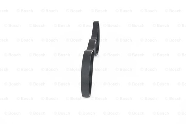 1987947989 - Ribbed v-belt - Image 4
