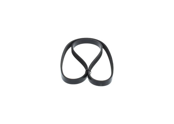 1987948312 - Ribbed v-belt - Image 2