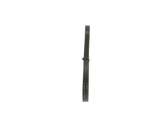 1987948337 - Ribbed v-belt - Image 2