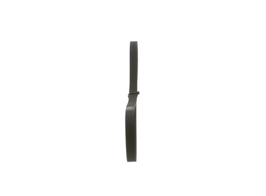 1987948337 - Ribbed v-belt - Image 4